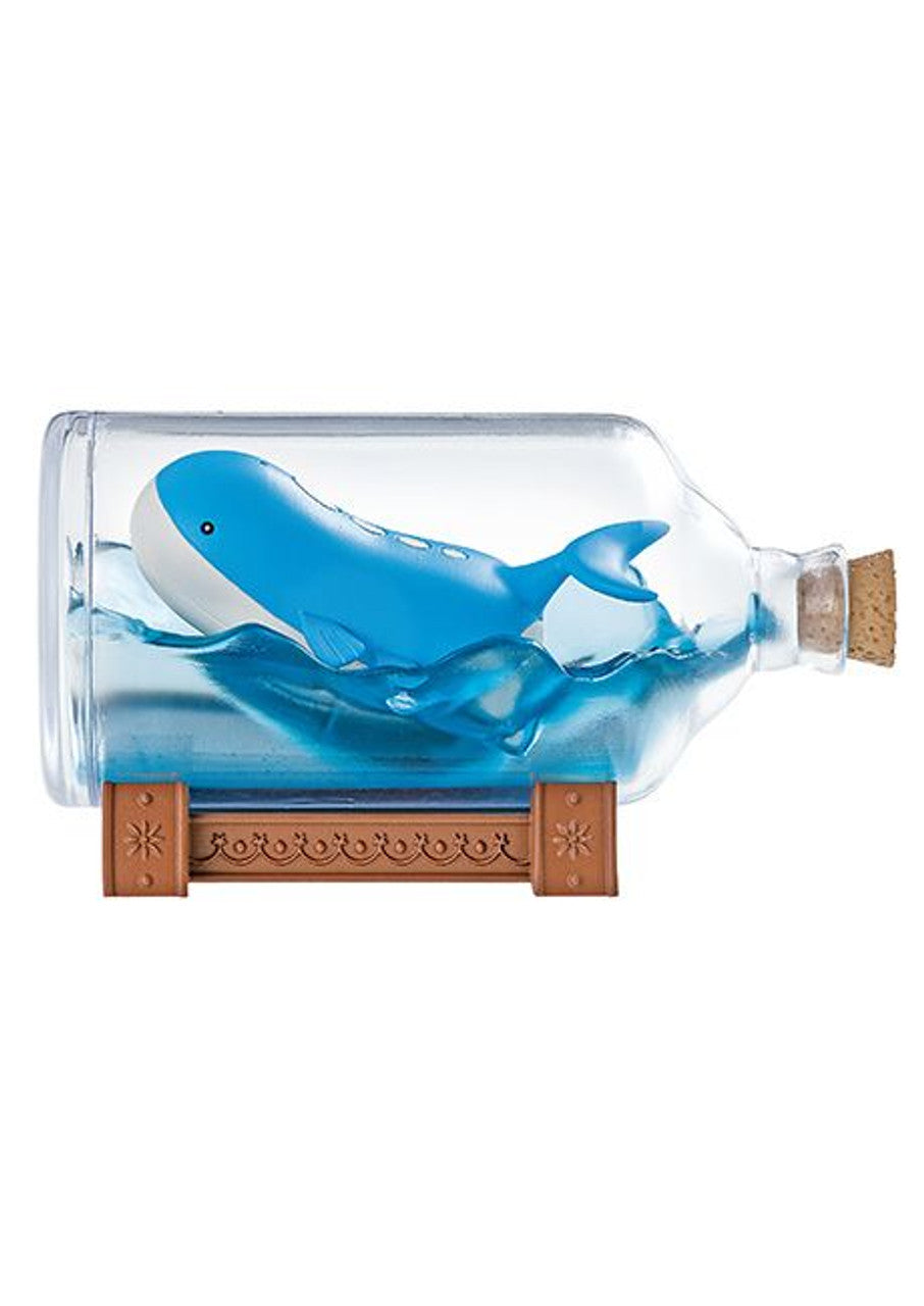 Aqua Bottle Collection | Pokemon Blind Box