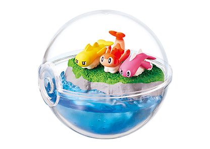 Terrarium Collection EX Exploring Paldea | Pokemon Blind Box