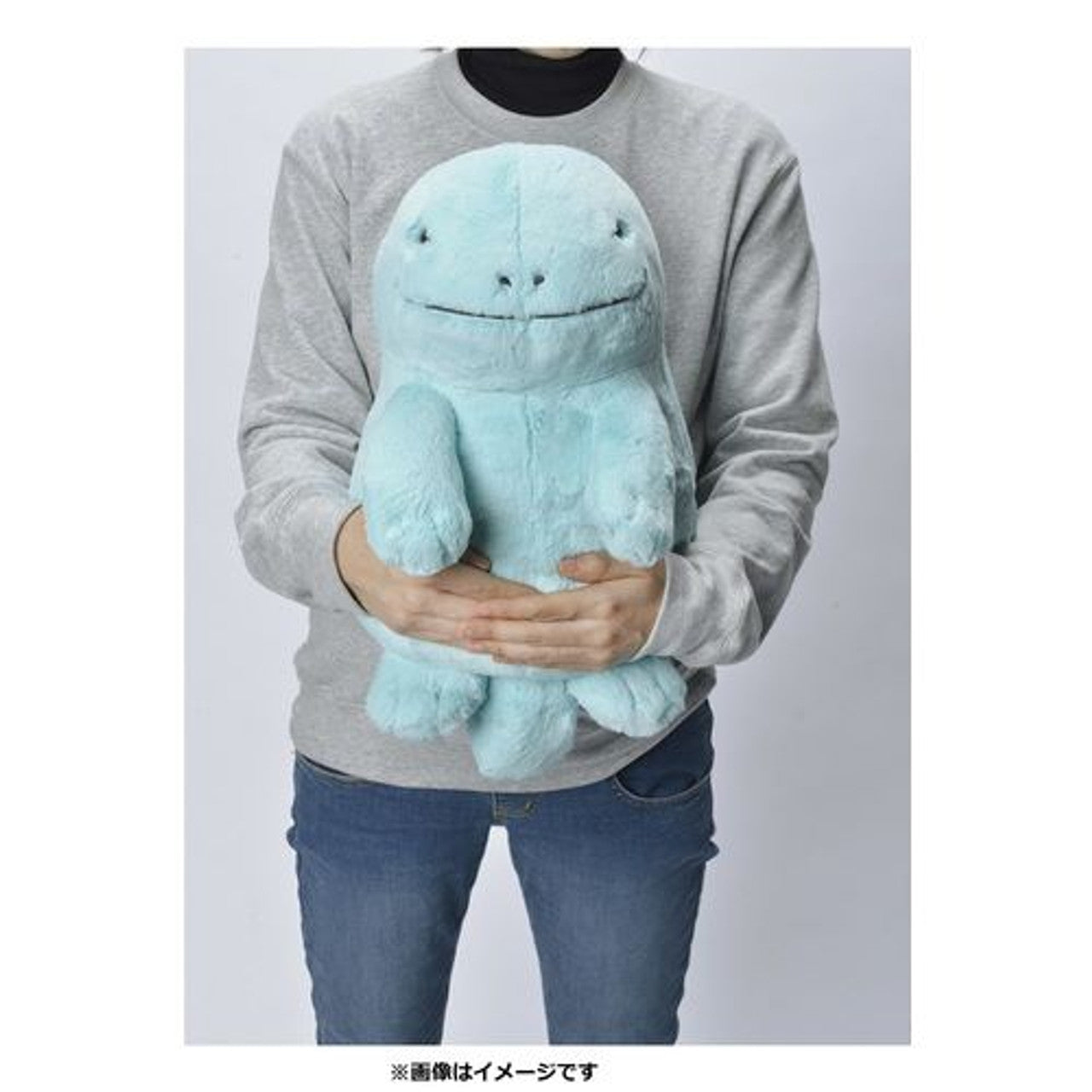 Quagsire Fuwa Comfy Friends Plush